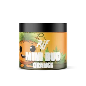Mini Bud Orange