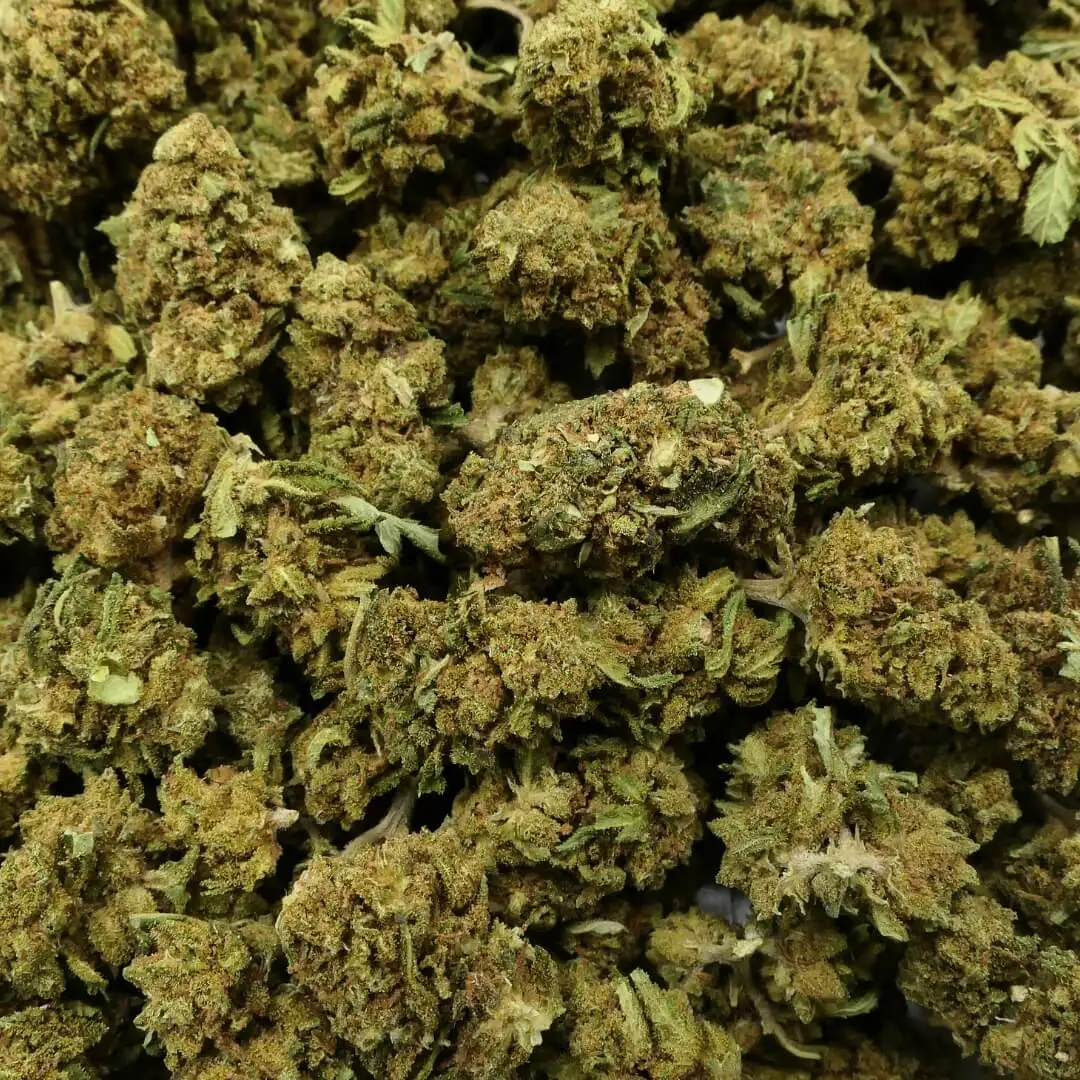 Mini Bud Amnesia â Image 2