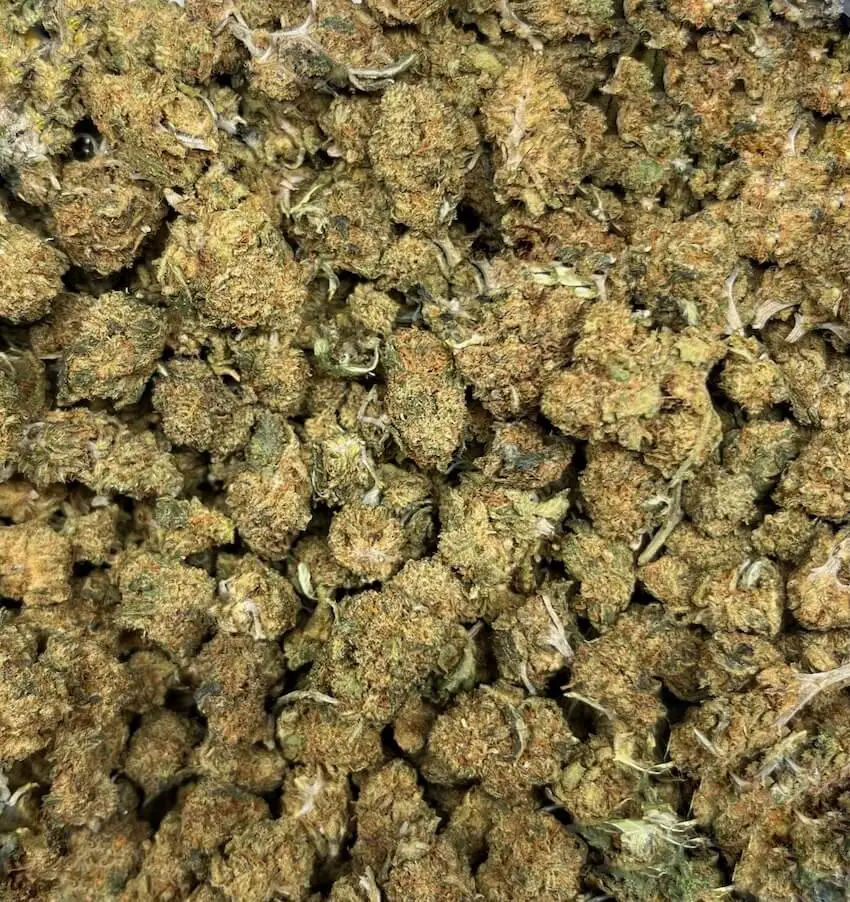 Mini Bud OG â Image 2