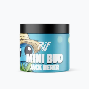 Mini Bud Jack Herer