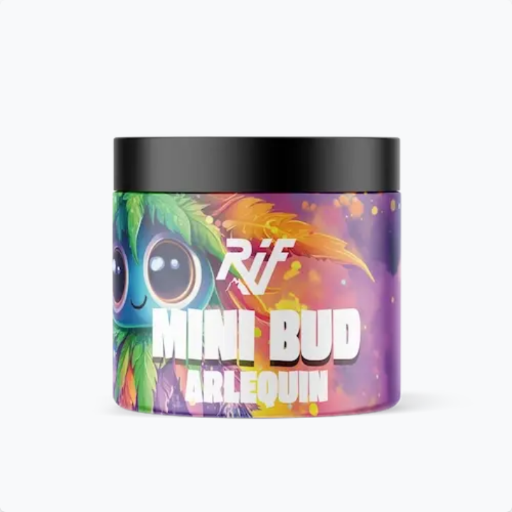 Mini Bud Arlequin