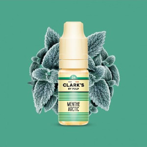 CLARK'S - Menthe Arctic